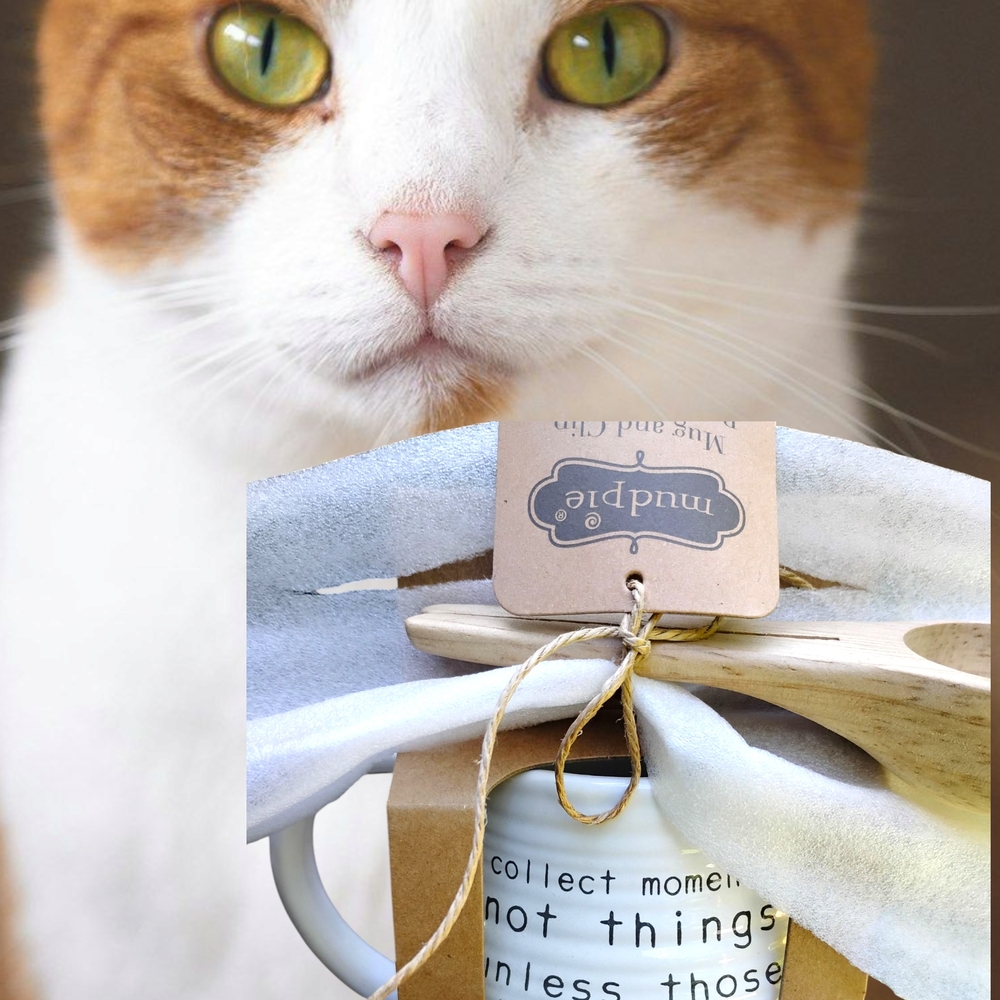 Mud Pie White Cat Bowl with Wooden Spoon